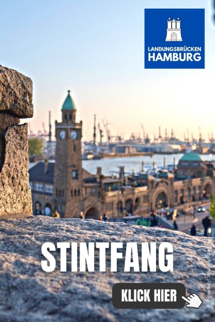 Stintfang